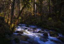 Jura dla ciekawych: Babice oraz Wygiełzów