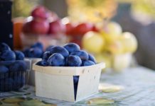 Śliwki – właściwości odżywcze i zastosowanie śliwek w diecie śliwki