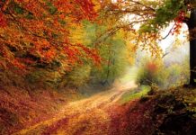 Miejsce gdzie można odpocząć