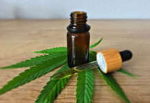 Bogactwo płynące z produktów konopnych