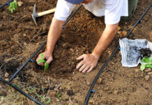 Co musisz wiedzieć o kredytach dla rolników