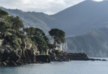 Ile kosztuje klej Super Glue?