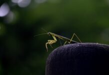 Co jest większe A4 czy A5?