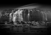 Co się robi z koralowca?