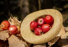 Ile kosztuje oryginalny kapelusz Panama?