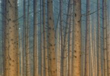 Czy można chodzić w kąpielówkach?