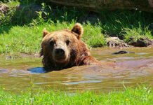 Jak odświeżyć wnętrze buta? Jak odświeżyć wnętrze buta?