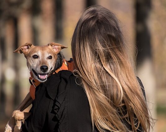 Jak założyć Harness? Jak założyć Harness?