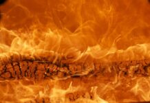 Co to za marka Polo Ralph Lauren?