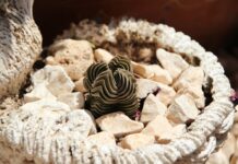 Jak działa rozciągacz do obuwia?