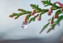 Czy kropelka nadaje się do materiału?