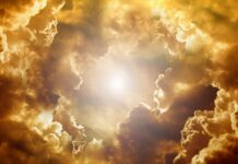 Jaki kształt oprawek do okrągłej twarzy?