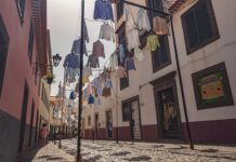 Z jakiej firmy kupić koszule?