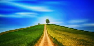 Dlaczego chodzenie na boso jest zdrowe?