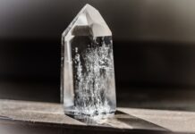 Jak wygląda kamień koral?