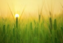 Jak wyglądać młodo w wieku 50 lat?