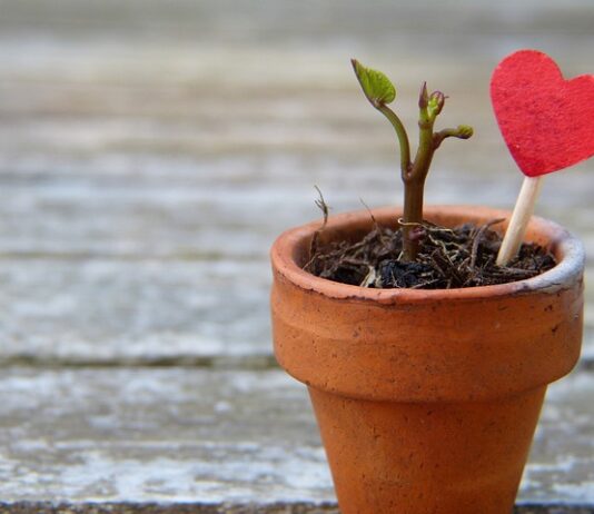 Jak rozciągnąć za małe buty ze skóry? Jak rozciągnąć za małe buty ze skóry?