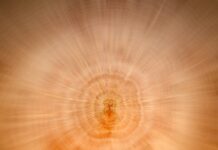 Jakie są przeciwwskazania do powiększenia ust?