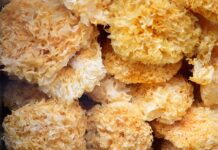 Jak nie zgubić kolczyków?