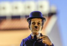 Jak wygląda melonik?