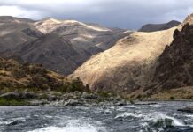 Dlaczego Snake Eyes jest niebezpieczne? Dlaczego Snake Eyes jest niebezpieczne?