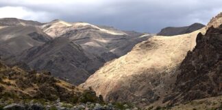 Dlaczego Snake Eyes jest niebezpieczne?