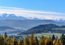 Jak mówią górale na pieniądze?