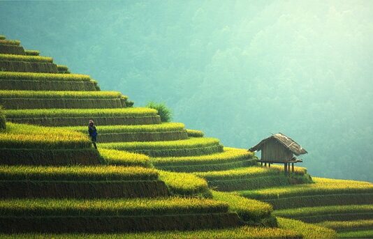 Czy sypie się ryżem na ślubie cywilnym? Czy sypie się ryżem na ślubie cywilnym?